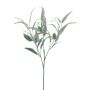 Ramo decorativo di eucalipto MALWINE, Eco Collection, verde, 75 cm