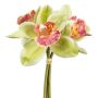 Mazzo di fiori artificiali orchidea cymbidium VOTEM, verde-rosso, 25 cm