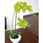 Orchidea phalaenopsis artificiale AURELIA im vaso di ceramica, verde, 55cm