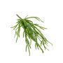 Rhipsalis pensile artificiale HADRIAN, su stelo, verde, 35cm