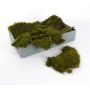 Muschio reale ENNIO, non trattato, 2kg