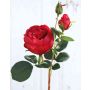 Rosa centifolia artificiale MIRETTA, rosso, 60cm, Ø3-9cm