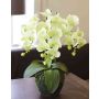Orchidea Phalaenopsis artificiale VEENA con terriccio, crema-verde, 50cm