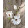 Ramo di magnolia finta FINAH, crema-bianco, 90cm, Ø9-15cm