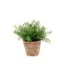 Asparago artificiale LUCANO, vaso di terracotta , 20cm, Ø20cm