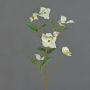 Ramo di corniolo sintetico KOHANA, con fiori, crema, 70cm
