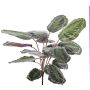 Calatea artificiale BRIHANNA su stelo, verde, 75cm