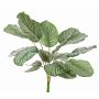 Calathea orbifolia artificiale ZAIDA su stelo, verde, 75cm