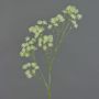 Ramo di aralia artificiale YARED, con fiori, crema, 85cm