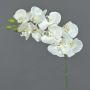 Phalaenopsis artificiale GALINA, crema, 45cm, Ø7-8cm