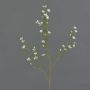 Ramo di hoya finto NIANG, crema, 80cm, Ø2-3cm