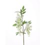 Ramo di glicine sintetico NEZUMI, con fiori, bianco, 105cm