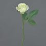 Rosa finta GABI, crema-verde, 25cm, Ø5cm