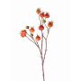 Rosa villosa finta GERDA, con frutti, arancione, 65cm