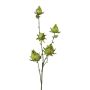 Ramo decorativo con boccioli di ibisco VELHIN, verde, 60 cm