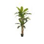 Banano artificiale FLORIS, tronco vero, 240cm