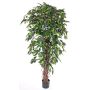 Ficus benjamina artificiale BERGLIND, tronchi naturali, verde, 210cm