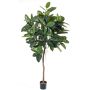 Albero della gomma artificiale AMREI, tronco naturale, verde, 150cm