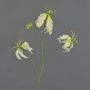 Gloriosa artificiale TIANA, rosa-verde, 80cm, Ø8-15cm
