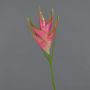 Speronella artificiale TOMKE, fucsia-verde, 80cm, Ø30cm