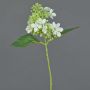 Ortensia artificiale CHABY, bianco-verde, 30cm, Ø9cm
