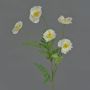 Papavero artificiale KEIRA, bianco, 65cm, Ø5cm