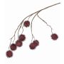 Ramo di acero artificiale MARIUS con frutti, rosso scuro, 80cm