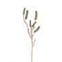Ramo di callistemon artificiale HEMES con frutti, verde, 60cm