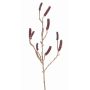 Ramo di callistemon artificiale BRODY con frutti, rosso scuro, 90cm