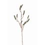Ramo di callistemon artificiale BRODY con frutti, verde, 90cm