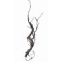 Ramo di salice artificiale JACE, marrone-grigio, 55cm