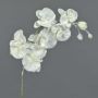 Ramo finto di orchidea phalaenopsis MYRIA, innevato, bianco, 75cm