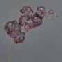 Orchidea phalaenopsis artificiale NEILA, innevato, rosso scuro, 75cm