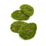 Pezzi di muschio artificiale per decorare HEFEI, 4 pezzi, verde, 11x15x15x5cm