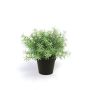 Rosmarino di plastica YANIS, verde, 20cm