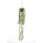 Cestino pensile di cactus corallo artificiale BOLTEN, verde, 80cm