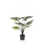 Filodendro selloum artificiale FRIO, 60cm