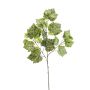 Ramo di vite in plastica MARCELIN, verde-bianco, 65cm