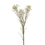 Fiore di cera artificiale MEDEA, crema, 80cm