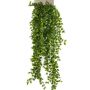 Fico rampicante artificiale BASQUIAT su stelo, 80cm