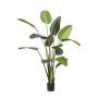 Pianta artificiale strelitzia PAVLOVA, verde, 190cm