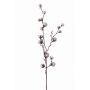 Ramo di cotone artificiale EYCK con fiori, verde, 95cm