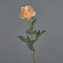 Rosa artificiale BRINA crema-rosa, 70cm