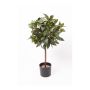 Sfera artificiale d'alloro DRODY, troncho vero, frutti, 60cm