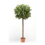 Sfera artificiale d'alloro DRODY, tronco vero, frutti, 150cm