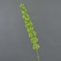 Molucella artificiale SIERA, verde, 80cm