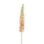 Fiore artificiale di candela del deserto AOMORI, rosa crema, 105cm