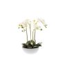 Orchidea phalaenopsis artificiale MINA in ceramica, bianco, 60cm
