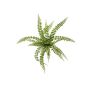 Pianta artificiale di felce bottone BELONA su stelo, verde, 50cm