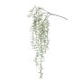 Ramo di cactus rhipsalis pilocarpa artificiale PUEBLA su stelo, verde, 120cm